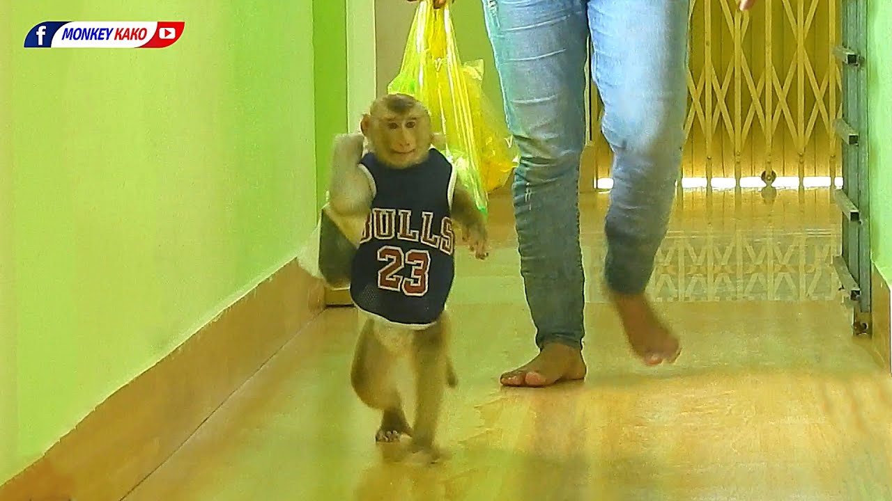 Master Chef Assistant KAKO Walking And Cook Boiled Pumpkin Recipe