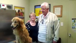 Serra Veterinary Hospital Inc
