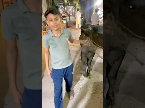Tikka party 🥰#shortsfeed #trendingshorts #youtubeshorts #bakra