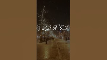 (وفي السماء رزقكم وما توعدون ) تلاوة قديمة للشيخ ياسر الدوسري من عام ١٤٢١
