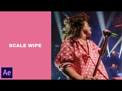 scale wipe | giuliasvds