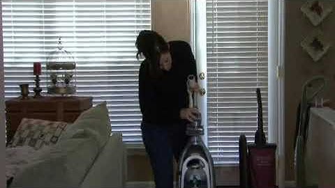 The Best Way to Remove Cat Hair From Furniture