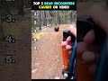 ranking funniest bear moments #usa