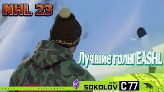 NHL 23 лучшие голы EASHL.