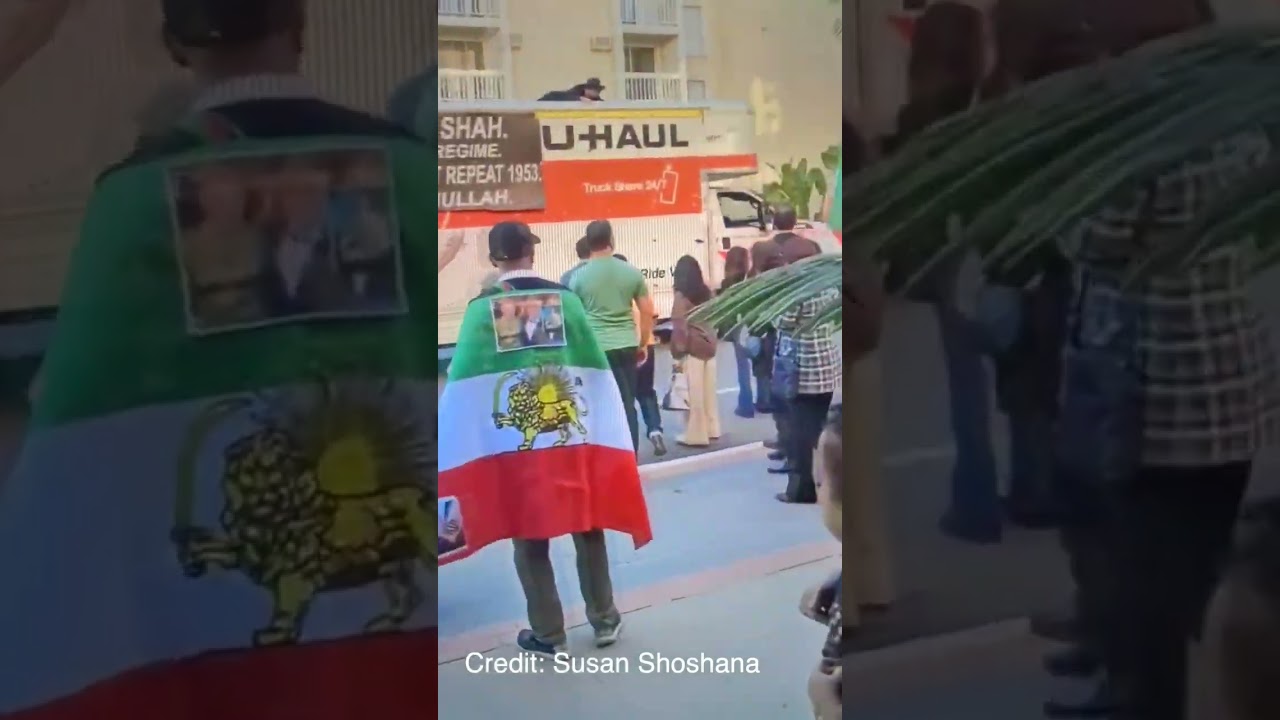 U-Haul driver turns Iranian protest in Los Angeles into chaos (full videos)
