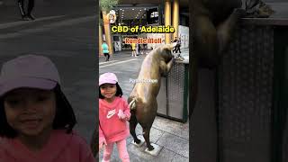 CBD of Adelaide Rundle Mall on weekend #adelaide #australia #rundlemall #cbd #weekend