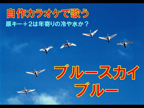西城秀樹 「ブルースカイブルー」　自作カラオケで最後はハモってみた