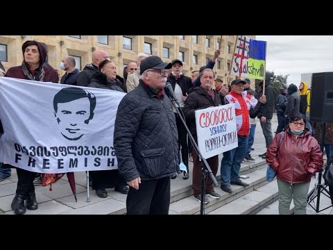 მიხეილ სააკაშვილის მხარდამჭერი აქცია