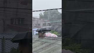 Person and Dog Taking Refuge on Roof Under Umbrella During Floods