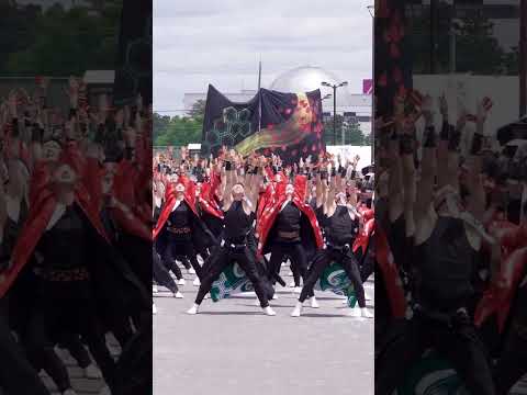 笑゛【新演舞お披露目】｜車山集い、心揃う。（第35回 豊川市民祭り おいでん祭 コンコンどまつりフェス 2026/芝生パレード広場会場 1本目）#笑゛#豊川市民祭り#おいでん祭#コンコンどまつりフェス