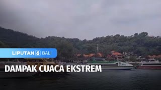 Dampak Cuaca Ekstrem Liputan 6 Bali