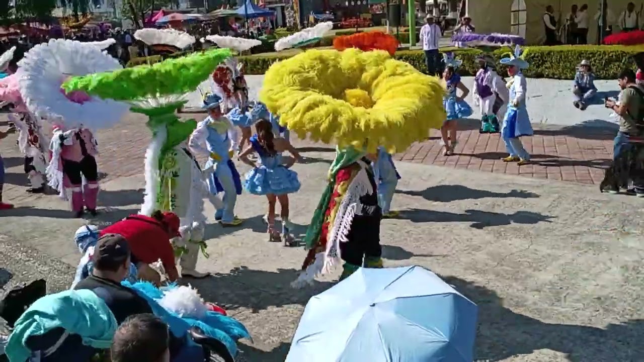 Carnavales Tlaxcala México 2026 #1
