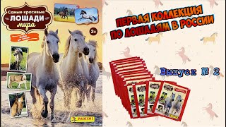 видео: PANINI Альбом для наклеек картинка: PANINI Альбом для наклеек