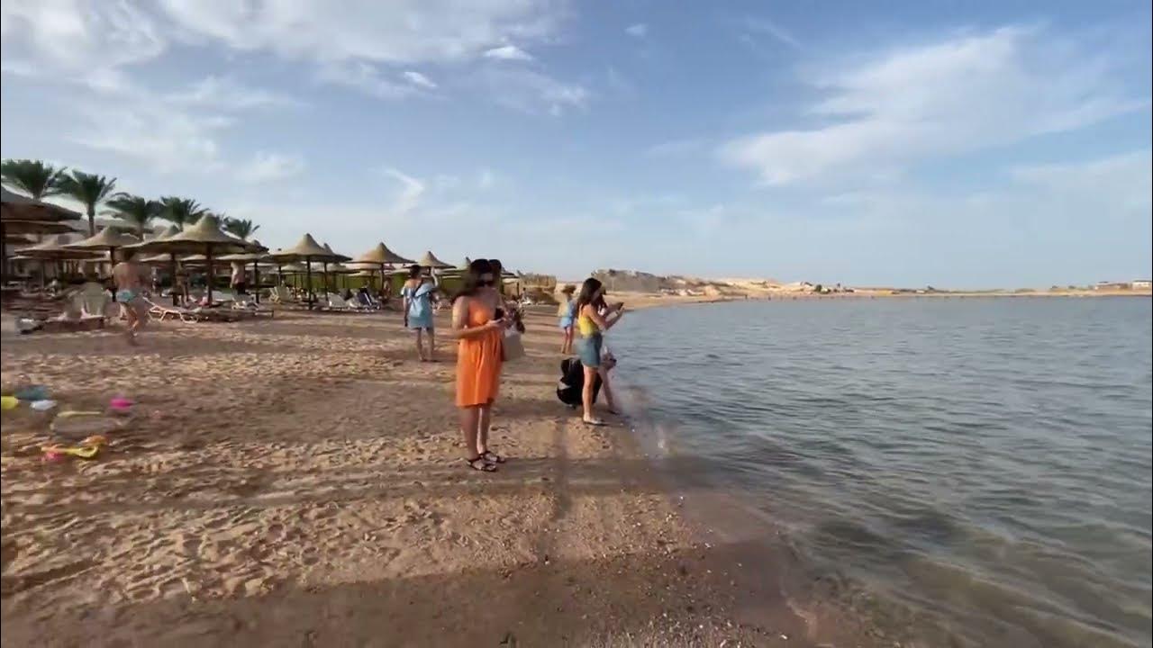 Египет джаз Бельведер