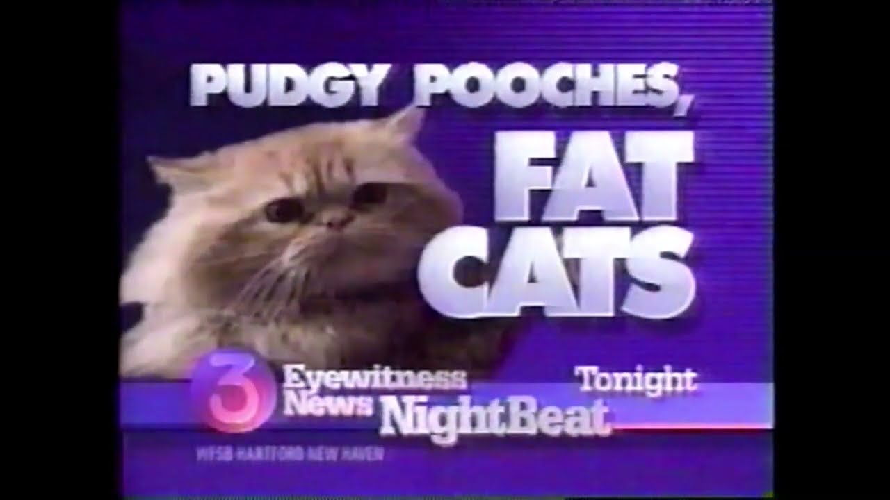 WFSB: Pudgy Pooches, Fat Cats - Story Promo [5-19-1989]