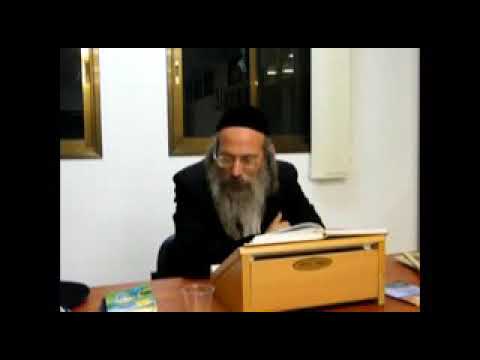 הרב אליהו גודלבסקי | מה הפשט ברש"י אילו הייתה התורה בשמיים היית צריך לעלות אחריה 😎 - mp.4