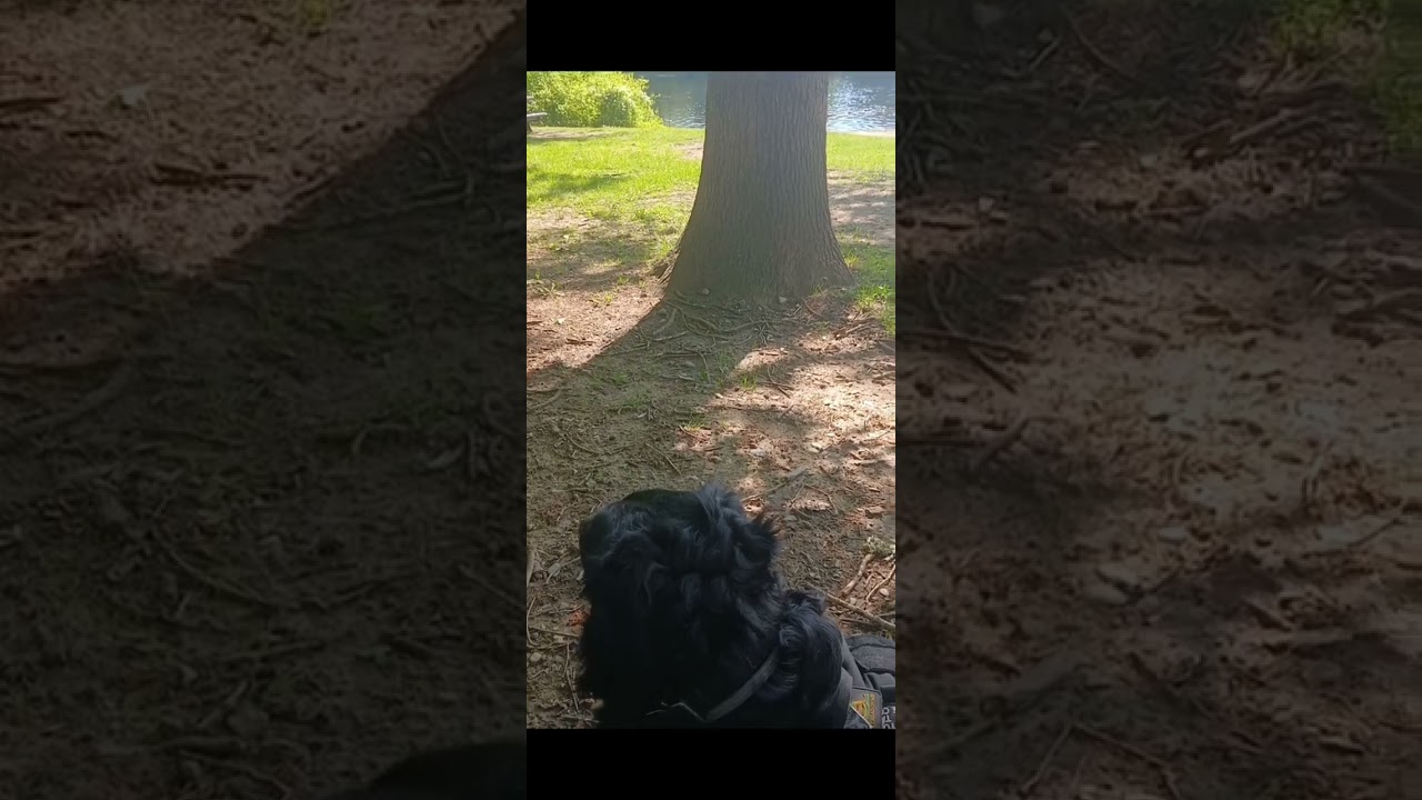 Solovino Goes To Hopeville Pond 