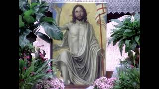 14th Sunday of Ordinary Time Mass at Holy Spirit Catholic Church July 5, 2026