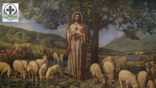 Genesis 8 — The Waters Recede, and God’s Promise Begins Again #jesus #god 