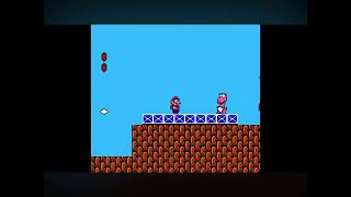Birdo vore mairo