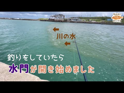 釣りしてたら水門が開いた