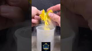Flower 🌼Vs Liquid Nitrogen 😯