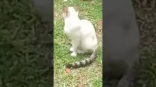 25 De Fevereiro De 2024