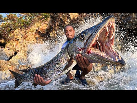 I Went SOLO Spearfishing And Caught a MONSTER Barracuda!