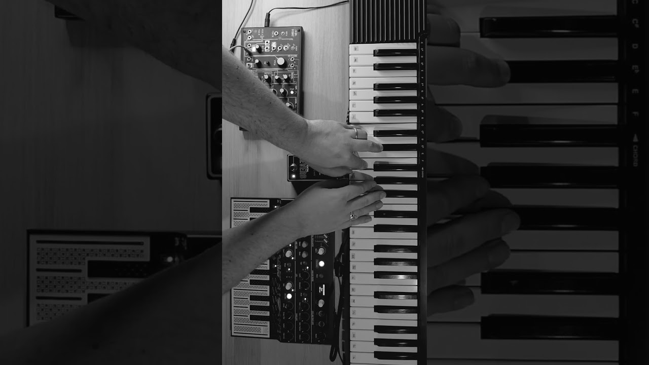 decay / tear apart / replace || CHELIDON FRAME || ambient soundscape