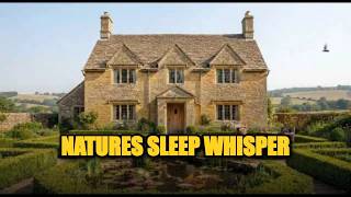 Deep Sleep Ambience with Gentle Water Flow and Koi Fish for Nighttime Relaxation