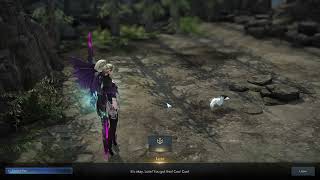 Fearless Flyer - Lost Ark