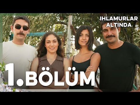 Video: İngilis Sarmaşıqlarının Öldürülməsi Və Ağaclardan Sarmaşıqların Təmizlənməsi