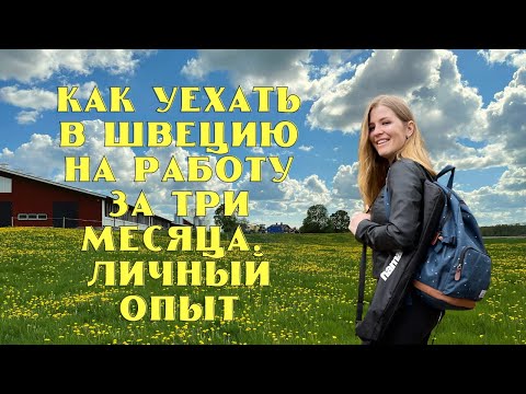 КАК УЕХАТЬ В ШВЕЦИЮ НА РАБОТУ ЗА 3 МЕСЯЦА. ЛИЧНЫЙ ОПЫТ