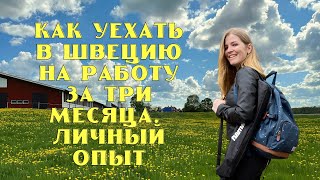 КАК УЕХАТЬ В ШВЕЦИЮ НА РАБОТУ ЗА 3 МЕСЯЦА. ЛИЧНЫЙ ОПЫТ