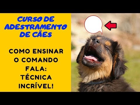 Curso de Adestramento de Cães - Como Ensinar o Comando Fala: Técnica Incrível!