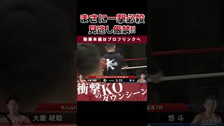 でるか！？連続”秒殺KO”！Krushフライ級タイトルマッチ 王者・悠斗vs挑戦者・大夢 1.28後楽園ホール大会チケット好評発売中！