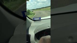 Rescue Begins For Hairless Puppy In Texarkana Texas