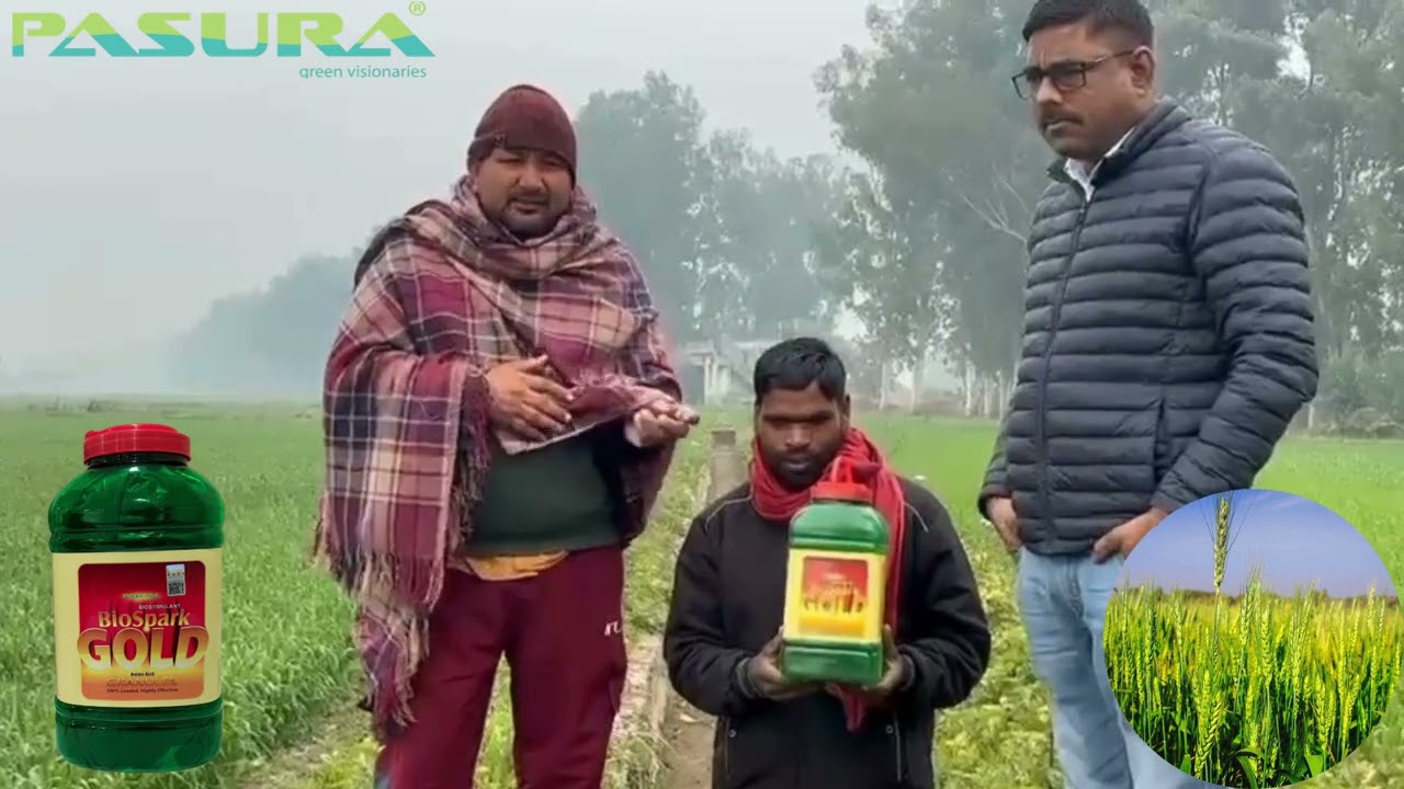 Farmer Success Story with Bio Spark Gold