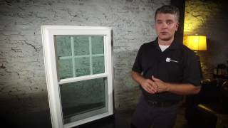 Career Overview Zen Windows Demo Video - Lotus by Soft-Lite