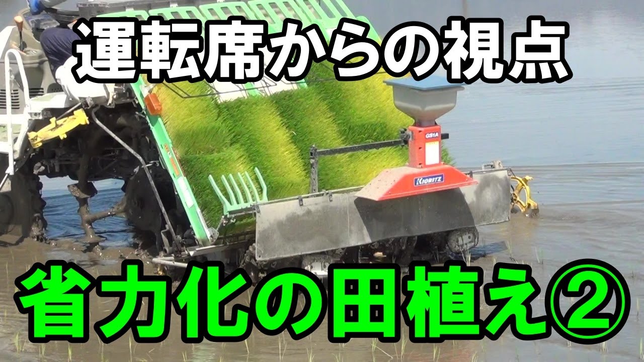 田植えの手伝い、運転、苗運び 苗運びをして、田植え | 新潟コシヒカリ農家「内山農産」スタッフ