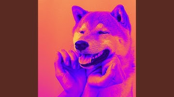 Pulsating Ambiance for Amusing Doggy Time