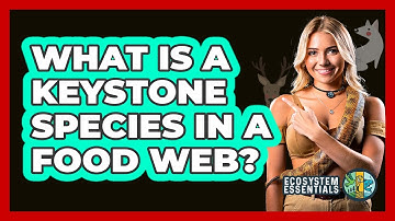 What Is A Keystone Species In A Food Web? - Ecosystem Essentials