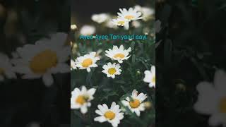 Ayee Ayee Teri Yaad Aayi By My  