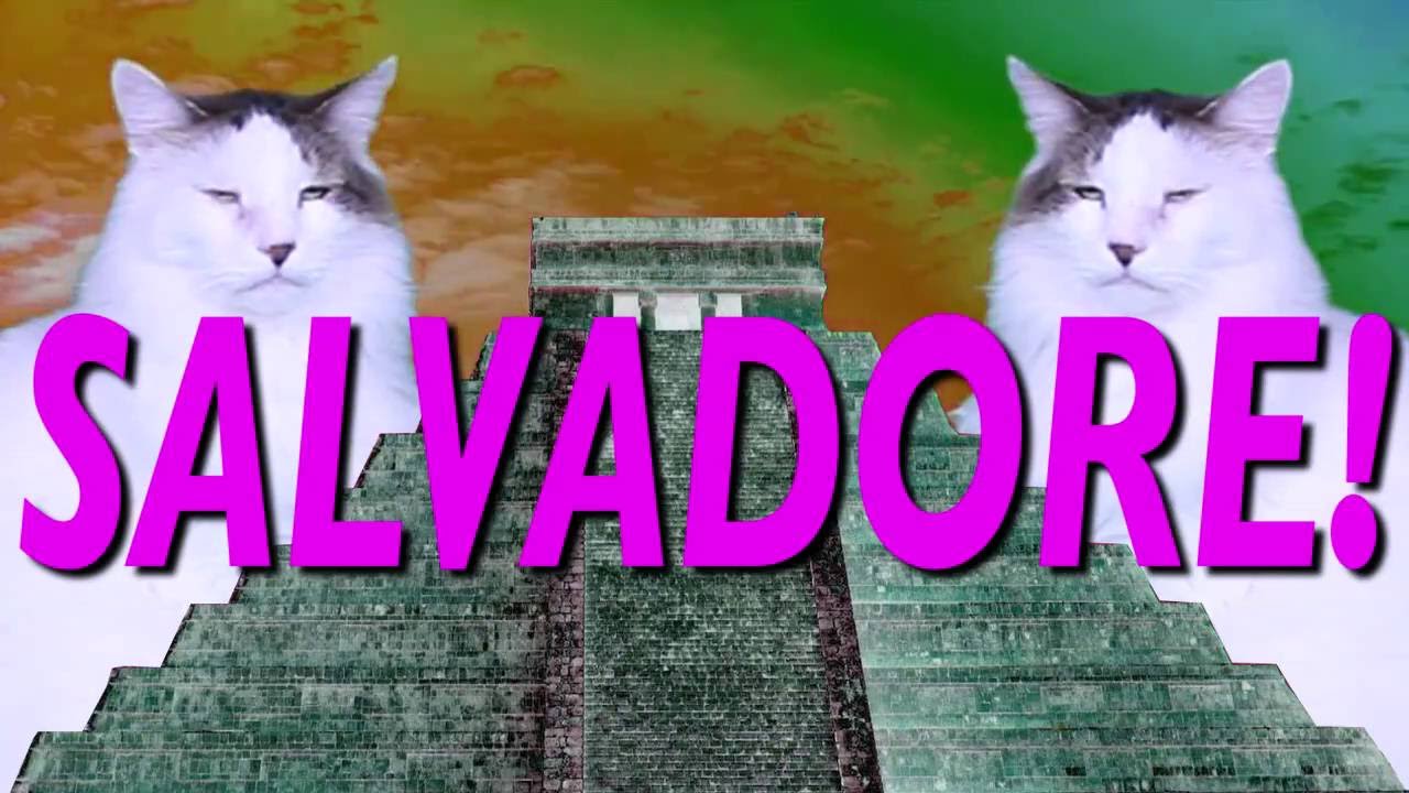 ¡FELIZ CUMPLEAÑOS SALVADORE! Canción Comica de Cumpleaños camera iphone 8 plus apk