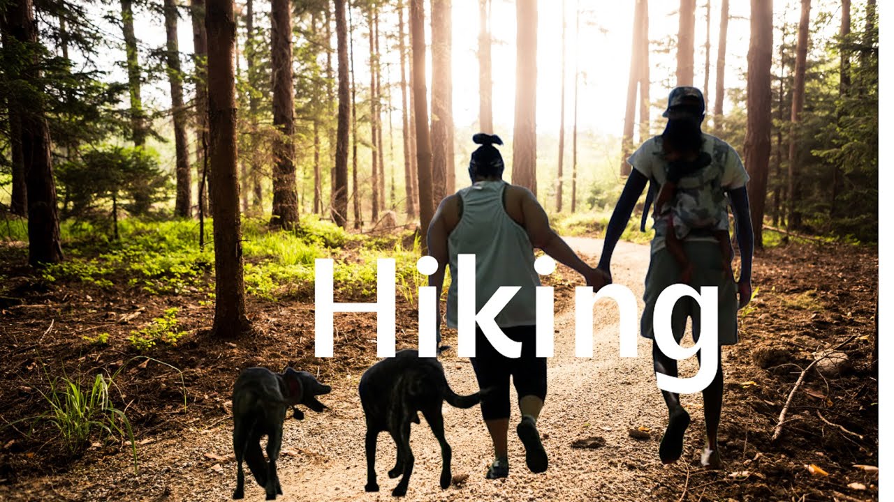 NORTH CAROLINA FAMILY TRIP | VLOG