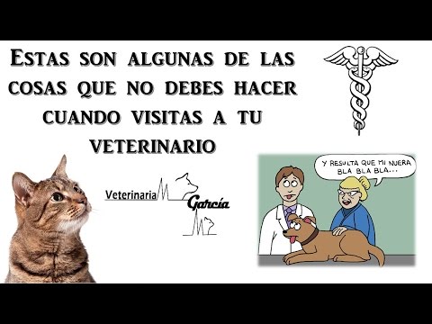 Video: Por Qué Los Veterinarios Odian Las Revisiones En Línea Y Qué Puede Hacer USTED Al Respecto