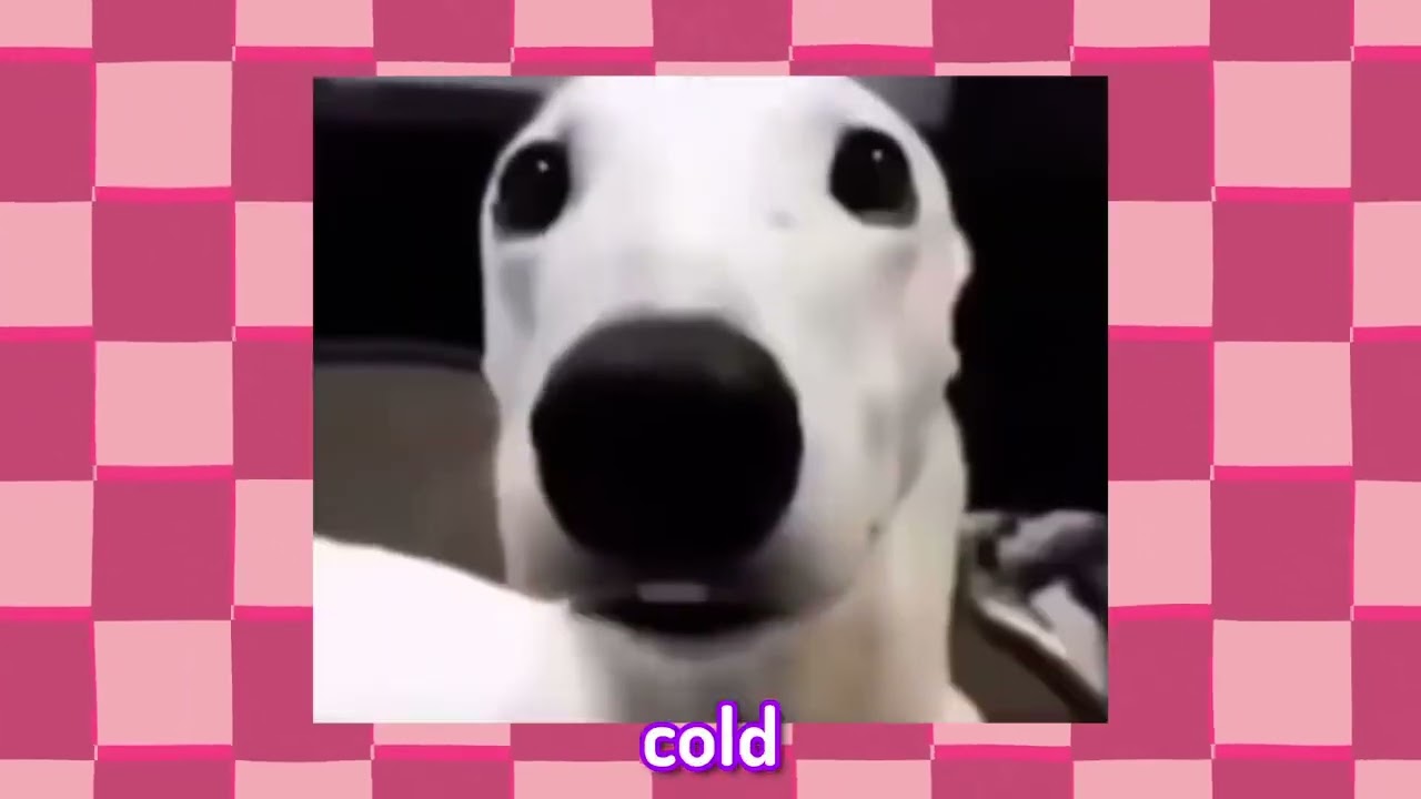 will you hold my hand