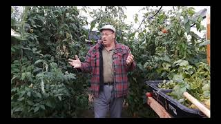 Greenhouse Introduction
