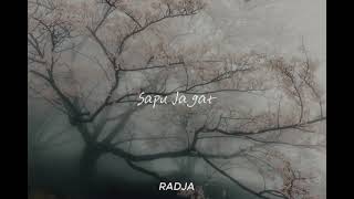 Download Lagu Sapu Jagat #radja MP3
