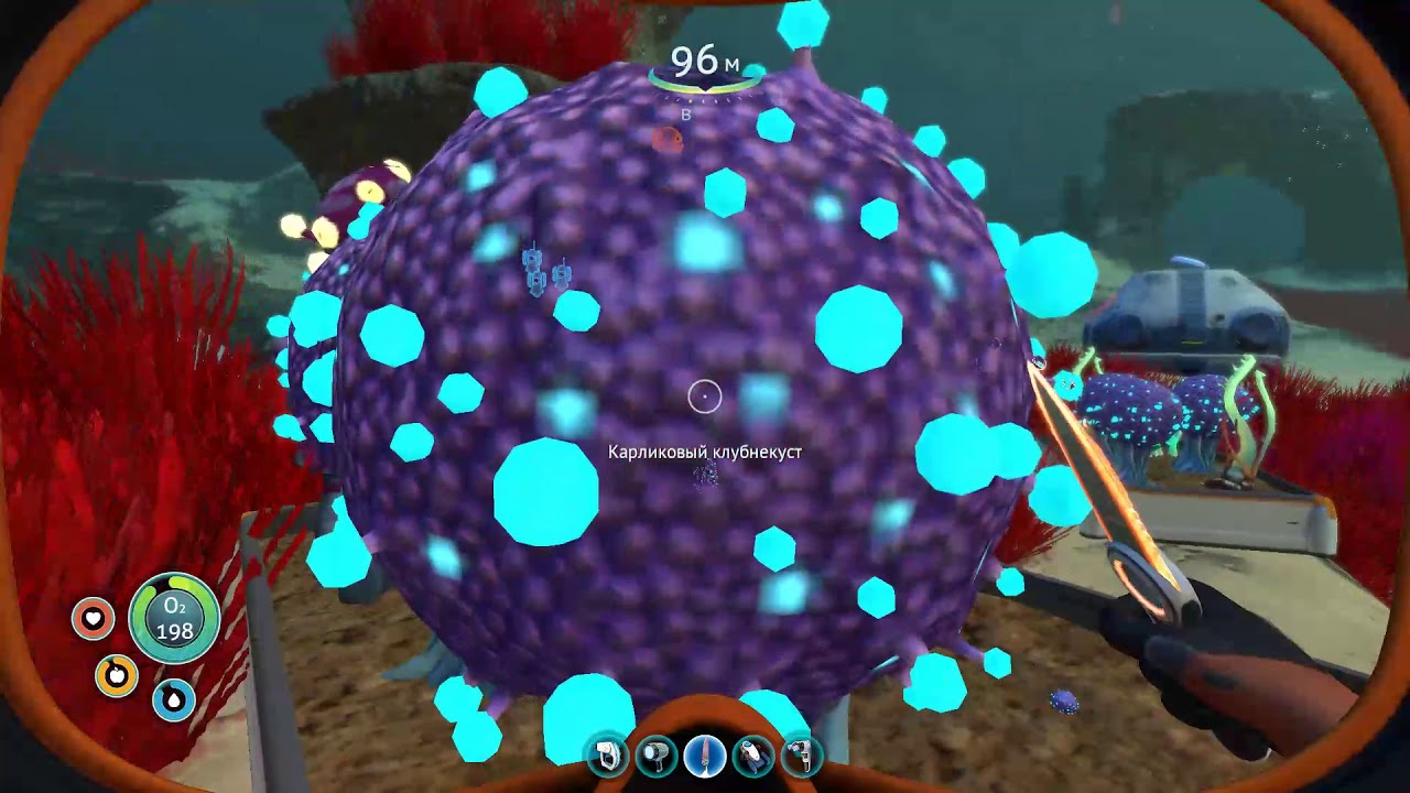 Образец клубнекуста в subnautica где найти